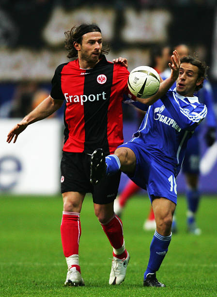 中都应具备 中都应具备